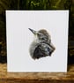 Starling Fledgling Acrylic Portrait Painting 
