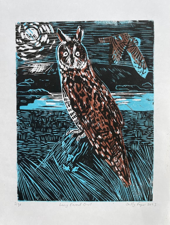 Long Eared Owl Geltsdale Nature Reserve Ltd Edition Lino Print