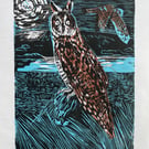 Long Eared Owl Geltsdale Nature Reserve Ltd Edition Lino Print