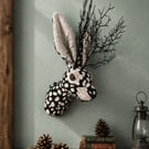 Faux jackalope head wall mount-Jack Thistlewick