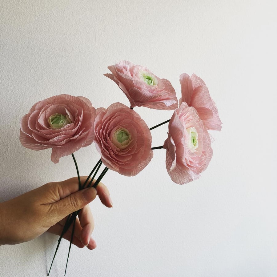 Blush Pink Paper Ranunculus