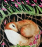 Mounted Original Resting Fox with Pink Flowers Watercolour  - Image 2