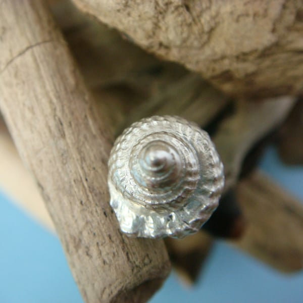 Mini shell stud earrings, fine silver