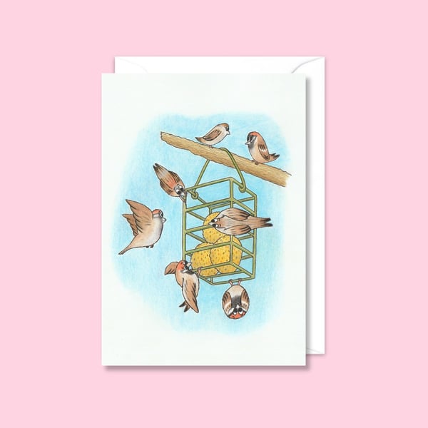 Garden Sparrows Greeting Card: Original Pencil Illustration (208)