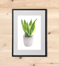 Snake Plant Botanical Art Houseplant Digital Print - Image 4