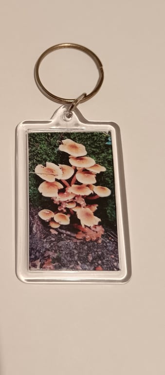Mushroom themed handmade photography keyring