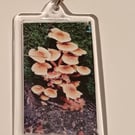 Mushroom themed handmade photography keyring