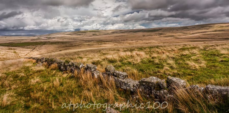 Panoramic photography print of wild Foxmire, Dartmoor, Devon