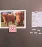 Pig Magnet - cute hand painted magnetic art - stocking filler for pig lover - Image 8
