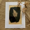 Tea Toned Leaf Cyanotype Mount
