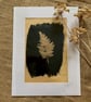 Tea Toned Leaf Cyanotype Mount