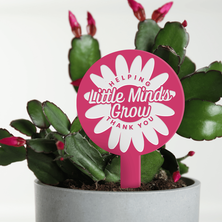 Little Minds - Retro Flower Personalised Plant Tag: Teacher Thank You Gift