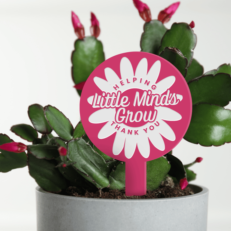 Little Minds - Retro Flower Personalised Plant Tag: Teacher Thank You Gift
