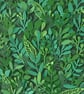 Framed Botanical Wall Art "Summer" - Everlasting Plant Leaf - Unique Paper Art - Image 3