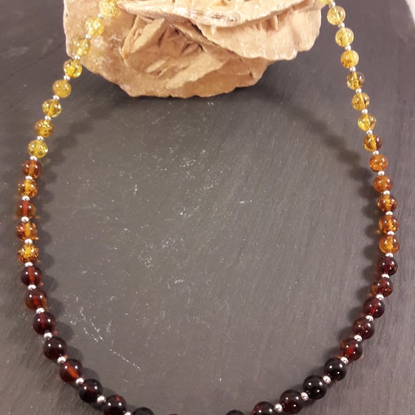 Baltic Amber Graduated Colour and Sterling Silver Necklace