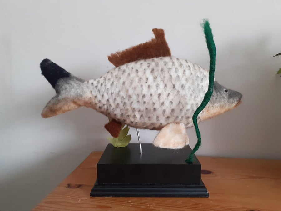 Carp fish needle felted wool sculpture ooak,collectable 