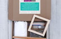 Superior Plaster Cast Flower DIY Kit