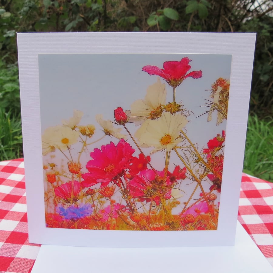 A card featuring an original photograph.  Blank inside.  Summer meadow.