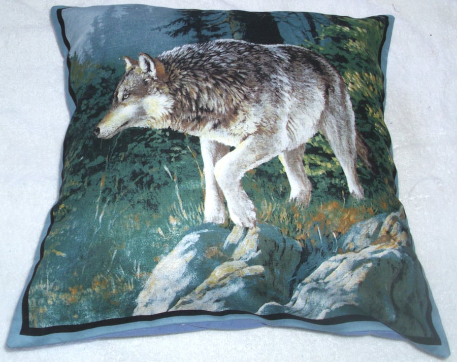 A lone Wolf on a slope in a forest cushion