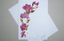 original hand painted cards
