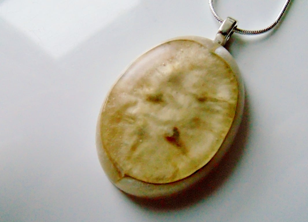 Honesty Seed Resin Pendant - Honesty Pod Necklace