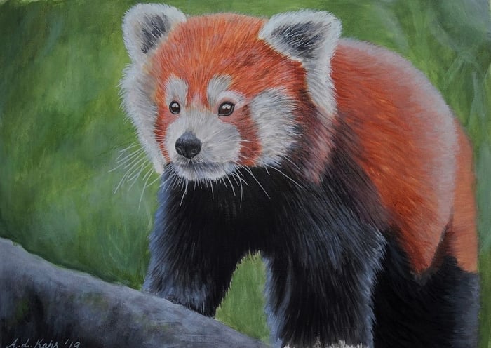 Amanda's Animal Art