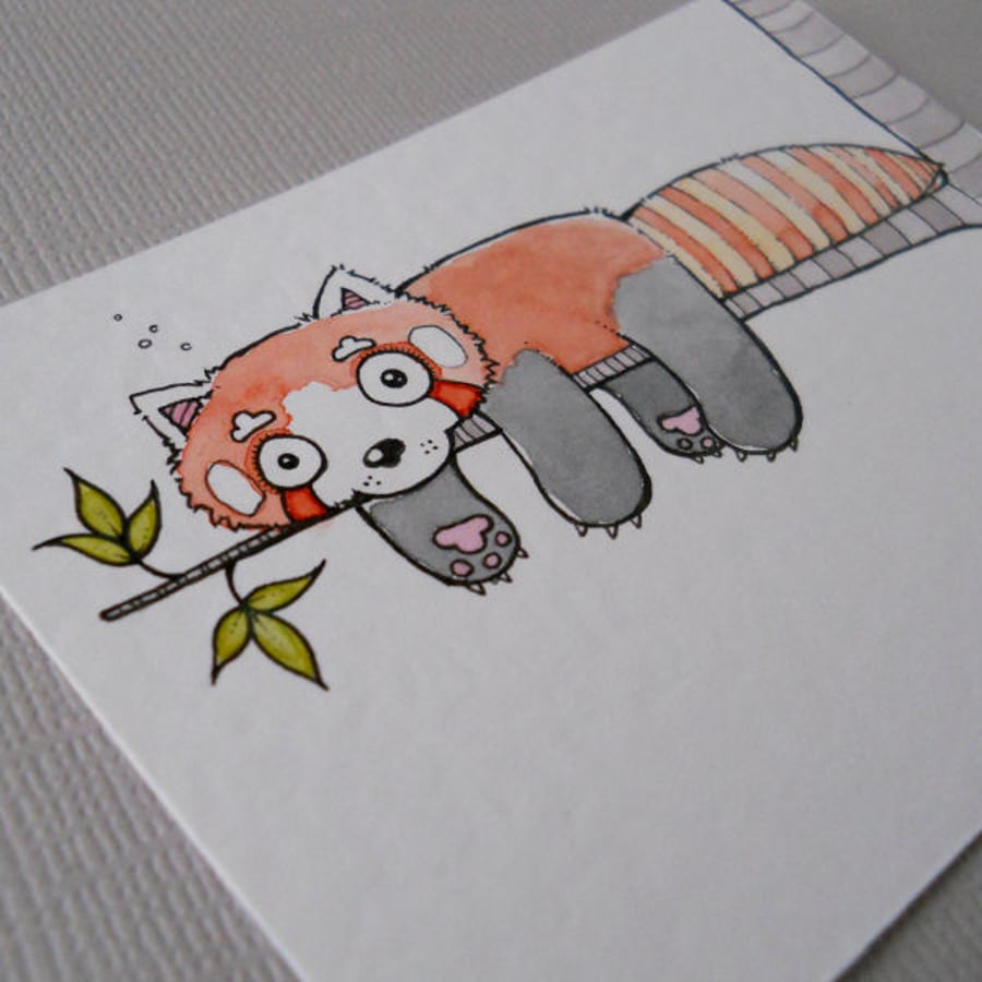 dozy red panda - original aceo