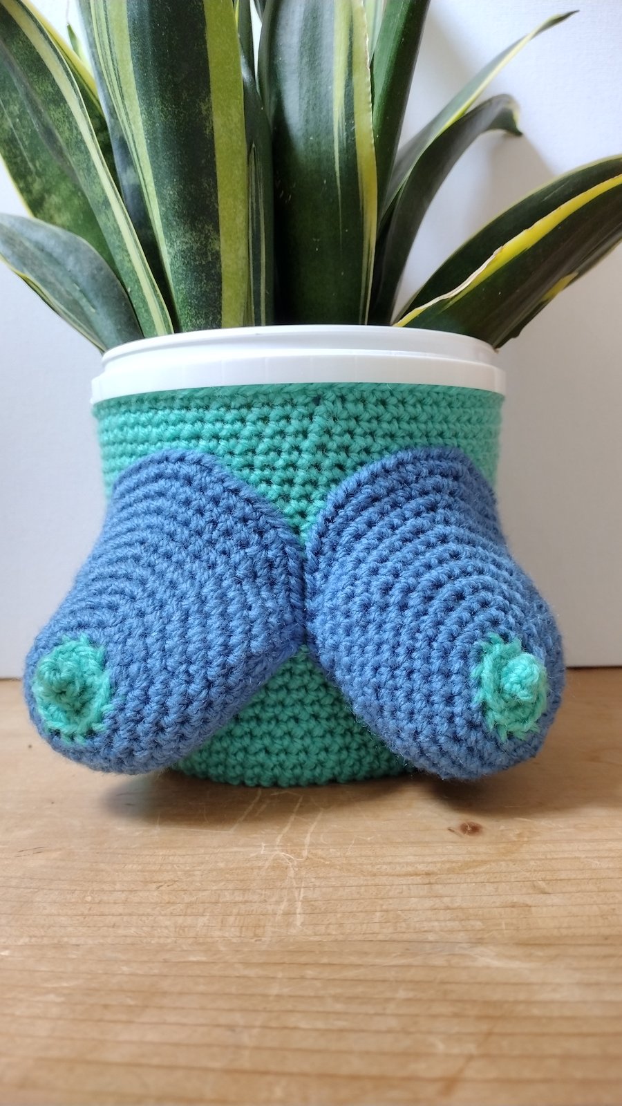 Boob plant cosy
