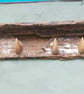 Blitz Timber 6 - Image 8