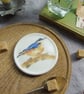 Nuthatch Coaster  - Image 3