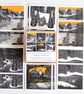 Wilderness Collection - Box of 12 Small Cards - Image 6