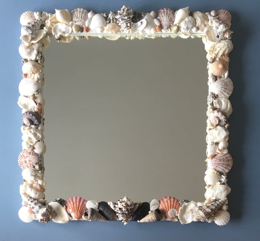 Tiger Bay Shell Mirror SOLD