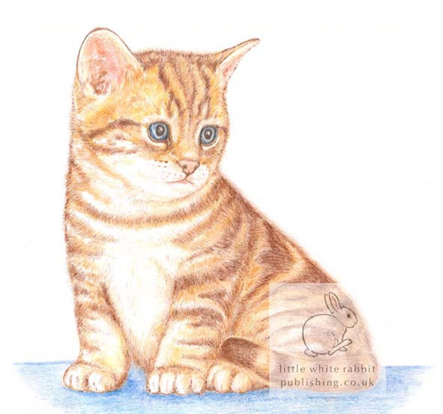 Timmy the Kitten - Blank Card