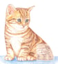 Timmy the Kitten - Blank Card - Image 1