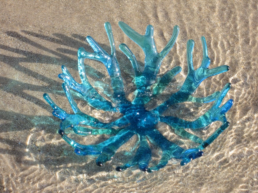 Fused glass coral bowl