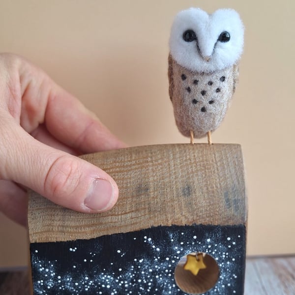 Wee Barn Owl - Spook