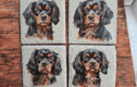 Dog Coasters