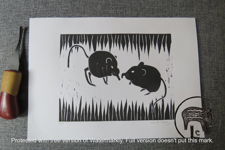 Black A4 elephant shrew (sengis) print (OE9)
