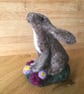 Baby Hare - Image 1