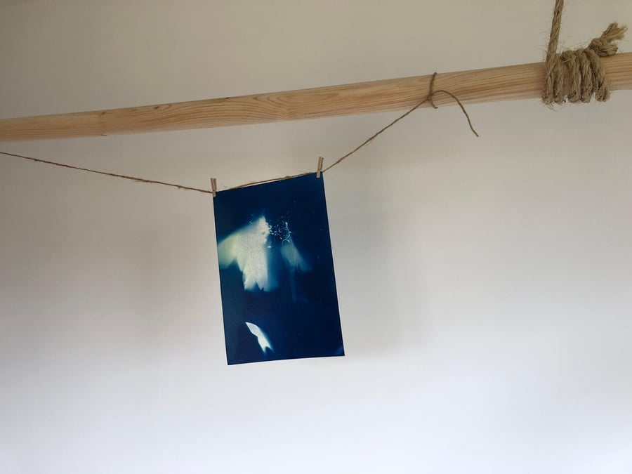 SUNSHINE PRINT SET, a pre prepared cyanotype print home set