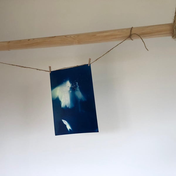 SUNSHINE PRINT SET, a pre prepared cyanotype print home set