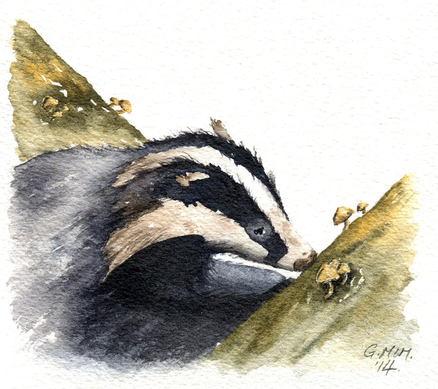 Watercolour sketch - Foraging Badger