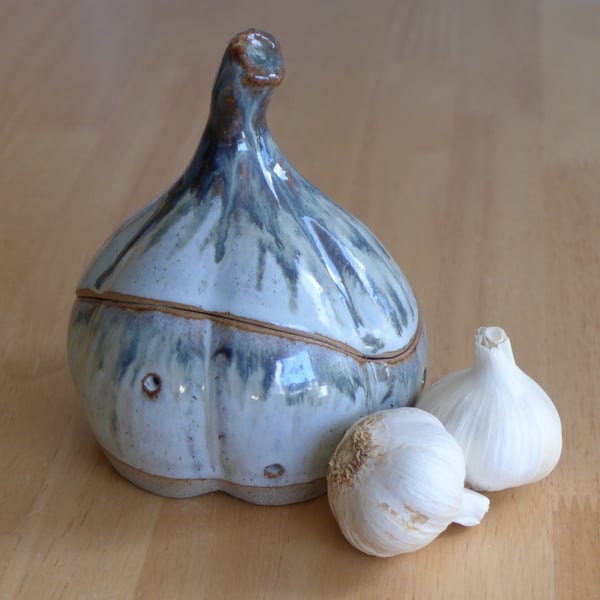 Kitchen Garlic Keeper