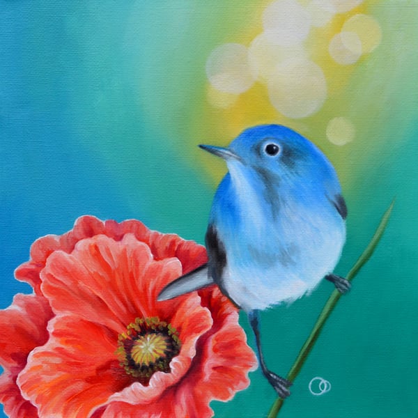 "Little Blue" Original Oil Painting Blue Bird Red Poppy Nature Art