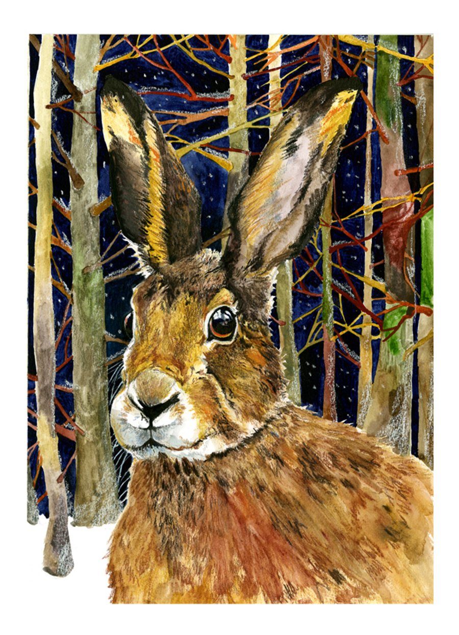 Hare in Nighttime woods Giclee print A4 animal nature drawing