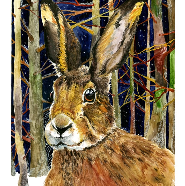 Hare in Nighttime woods Giclee print A4 animal nature drawing