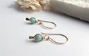 Dangle Earrings