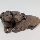 Pair of Mini Sleepy Sheep A