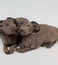 Pair of Mini Sleepy Sheep A