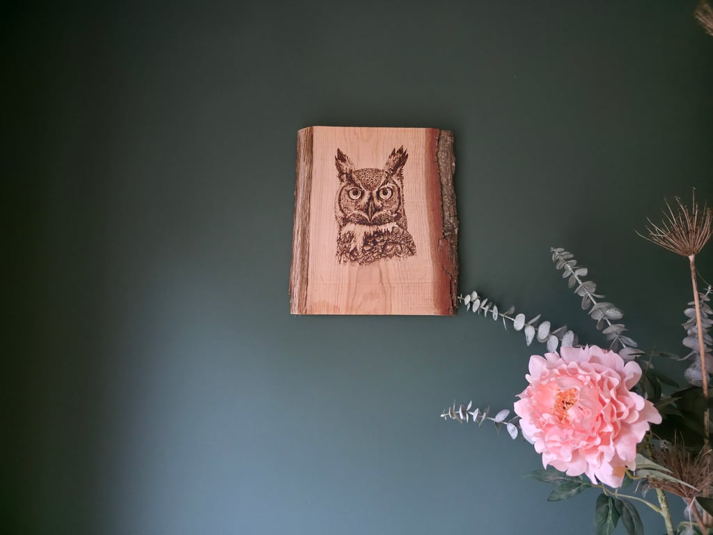 The Owl, pyrograph on live edge oak board